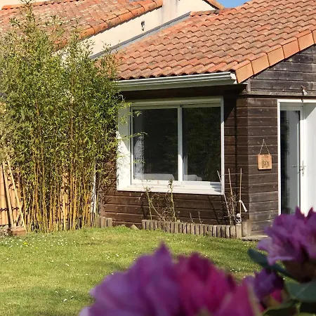 Ibi Enjoy Affittacamere 3*